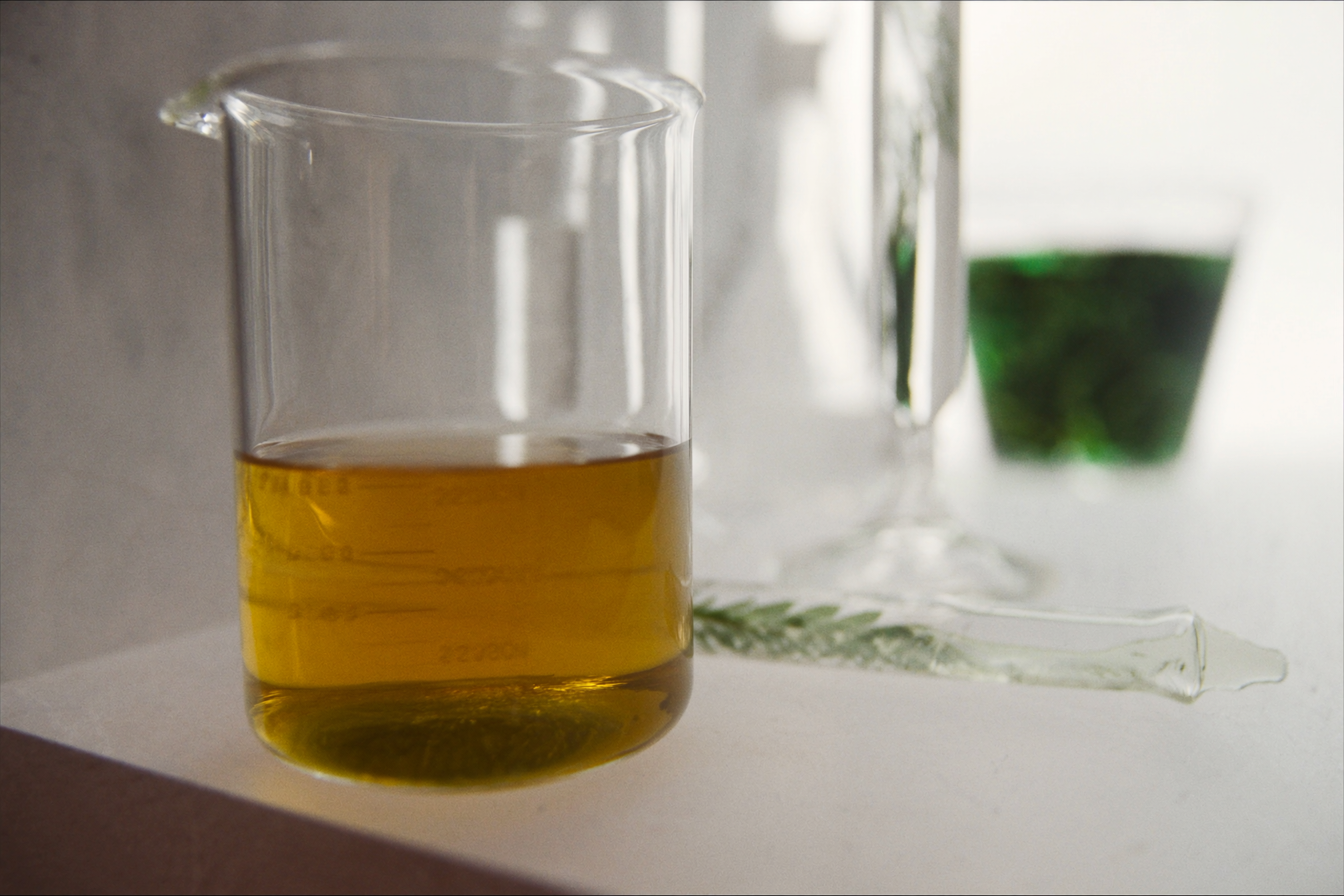 Extrait vegetal en laboratoire de biotechnologie